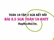 Bài 8.5 SGK Toán 10 tập 2 Kết nối tri thức